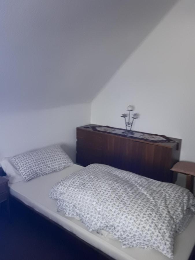 Apartament Fewo Mueller Saarlouis Zewnętrze zdjęcie